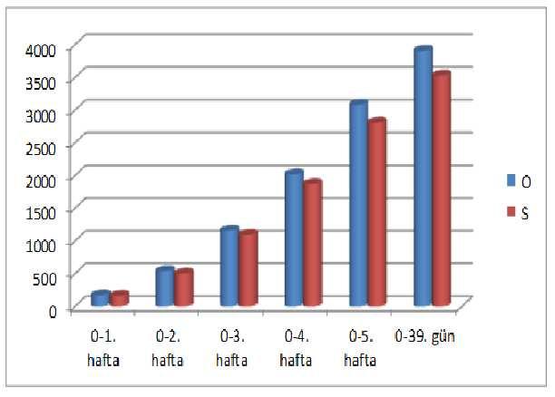 Şekil 4.6 İki grupta yem tüketim ortalamalarinin karşılaştırması 4.