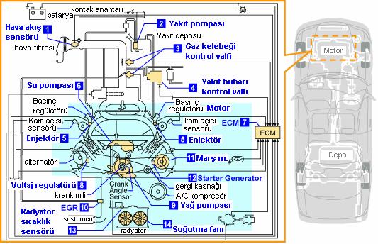 BÖLÜM 7 MOTOR YÖNETİM SİSTEMLERİ Taşıt ve elektronik kontrol sistemi 01. Kontrol ünitesi* 02. Emme manifoldu basınç sensörü 03. Gaz kelebeği potansiyometresi 04. Oksijen sensörü 05.