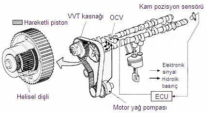 Egzoz Çizelge 8.1. Toyota VVT-i supap zamanlamalsı Açılma AÖN den önce Kapanma ÜÖN dan sonra Süre Lobe centre Kalkma yüksekliği (mm) Düşük hızlar 34 14 228 110 7.6 Yüksek hızlar 56 40 276 108 10.