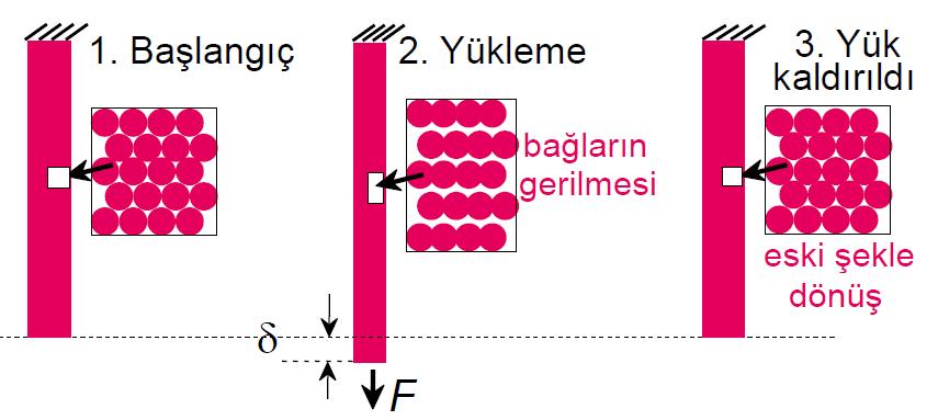 Elastik deformasyon I, Doğrusal ve II, Doğrusal olmayan şekilde gerçekleşir.