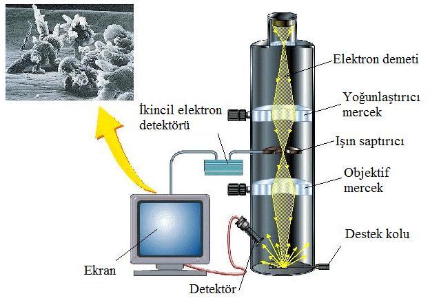 Şekil 2.40. SEM cihazının temel bileşenleri 2.6.5. Titreşen Örnek Magnetometresi (VSM) Tüm malzemeler dışarıdan uygulanan manyetik alana karşı tepki vermektedir.