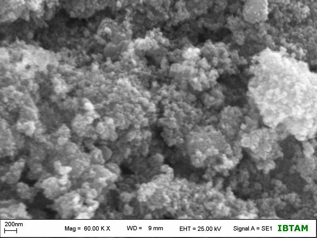 Parçacık boyutu yaklaşık 50 nm olup, parçacıkların homojen dağılım gösterdiği açıkça görülmektedir.