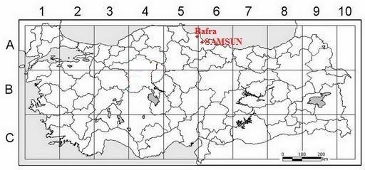 floristik bir çalışmaya rastlanılmamıştır. Dolayısıyla ilçenin florası hakkındaki yeterli bilgiye ulaşılamamıştır.