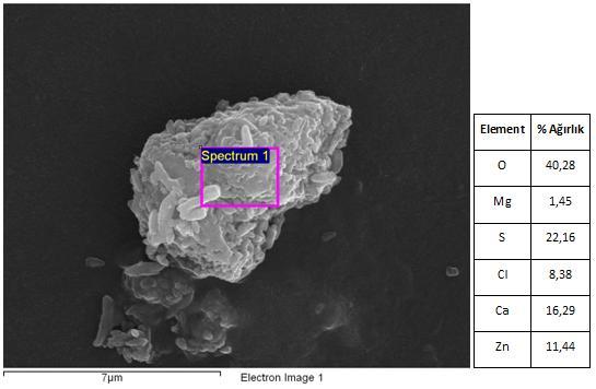 Şekil 7.27 Katyon seçici membran taramalı elektron mikroskobu ve yarı kantitatif element analizi (d) Çizelge 7.