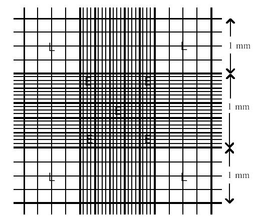 ġekil 2.6: Hemositometre Süspansiyonun mililitresindeki toplam hücre sayısı aşağıdaki formülle bulunur. Toplam canlı hücre sayısı/ml = hemositometre sayım sonucu x 2 x 10 4 