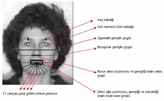 5 Kaya (1972) yüzdeki belirli noktaların arasındaki Euclidean (Öklit) uzaklığını hesaplamış ve bu noktaların belirlenmesinde bazı önemli faktörler belirlemişlerdir. 1. Tahmini kolay olmalı 2.