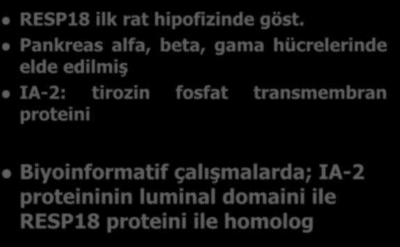 1990.2000 hayvan çalışmaları RESP18 ilk rat hipofizinde göst.