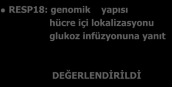 RESP18, a homolog of the luminal domain IA2, is found in dense core vesicles in pancreatic işlet cells and is induced by high