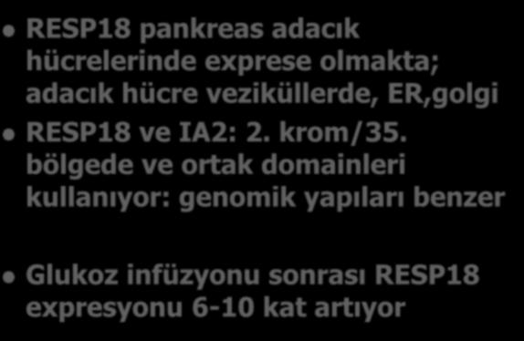 RESP18, a homolog of the luminal domain IA2, is found in dense core vesicles in pancreatic işlet cells and is induced by high glucose. Zhang G et al.