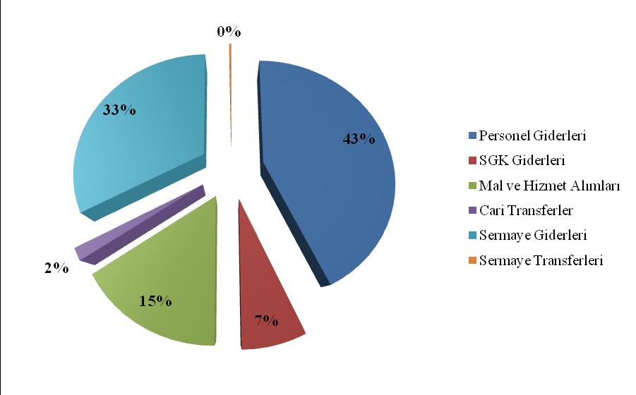 3.1 Mali Bilgiler 3.1.1 Bütçe Ekonomik sınıflandırmaya göre 2012 yılı bütçesi Tablo 39 da verilerek ġekil 4 de pasta dilimi Ģeklinde gösterilmiģtir.