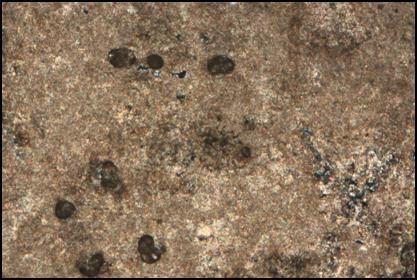 Bu etkilenme dördüncü döngüde fosil kalıplarını dolduran spari kalsit kristallerinde, beşinci döngüde ise damarlarda yer alan spari kalsit kristallerinde gözlenmiştir (Şekil 4.46.