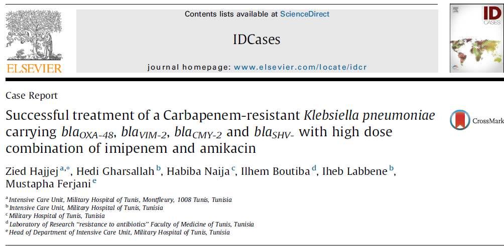 Karbapenem dirençli Klebsiella pneumoniae ya bağlı kan dolaşımı enfeksiyonunda tedavide yüksek dozda İmipenem ile birlikte amikasin