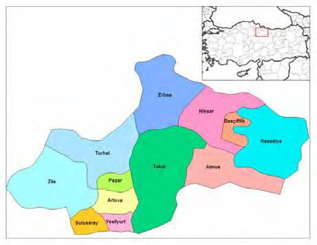 Tanju OZANOĞLU kullanılmakta olan çalgılardır. Çalım, yapım, ezgi çeşitlemesi dışında gösterdikleri tarihi gelişim ve renk itibarıyla de incelenmesi ve araştırmaya değer bir konudur.