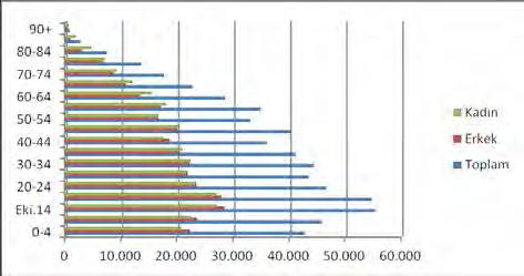 D. Ali ARSLAN Gülten ARSLAN Grafik 1: Tokat ın Nüfus Piramidi (2011 Yılı) Kaynak: TÜİK (2012) http://tuikapp.tuik.gov.tr/adnksdagitapp/adnks.