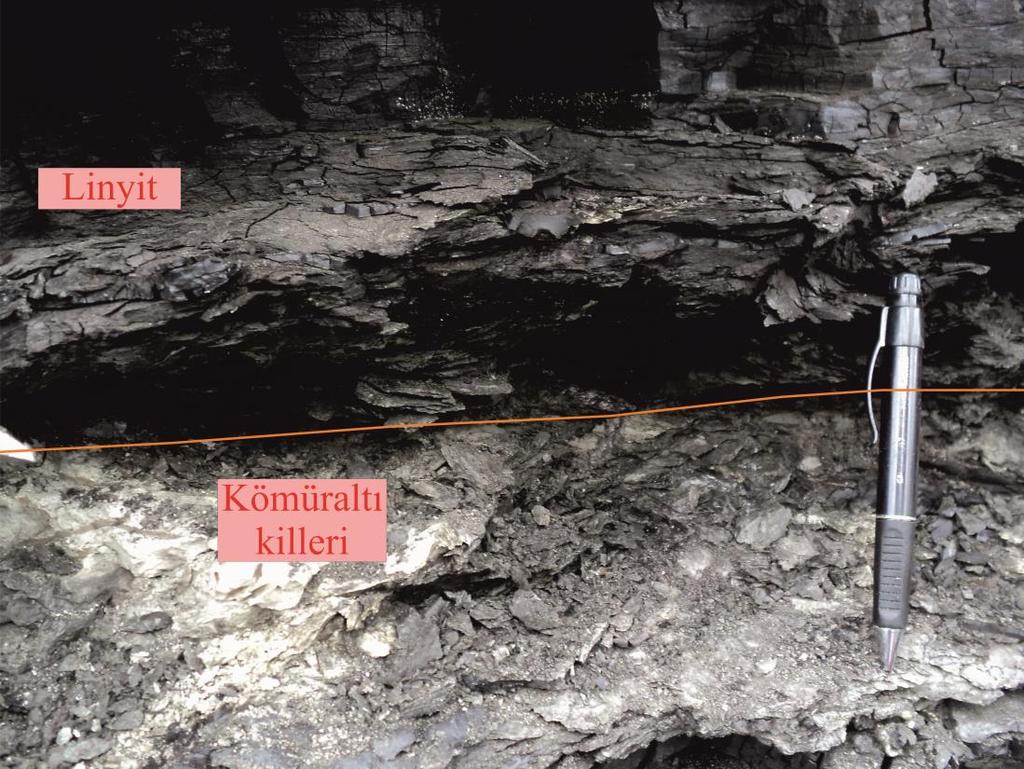 Şekil 4.8: Pirinççeşme bölgesindeki kömüraltı killerinin görünümü (UTM: 0488307/4538122). Ocak incelemelerinde, tektonik etkilere bağlı olarak oluşmuş monoklinal kıvrım gözlenmiştir (Şekil 4.9).