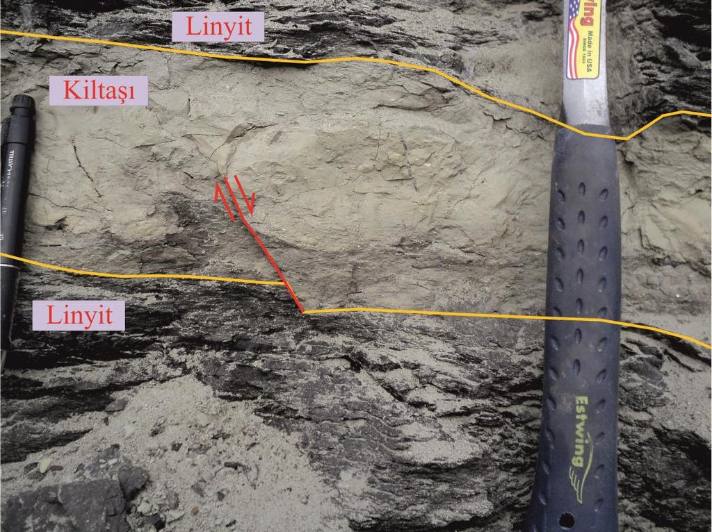 Şekil 4.12: Şahin bölgesindeki linyitler içerisinde görülen mikrofaylanma.