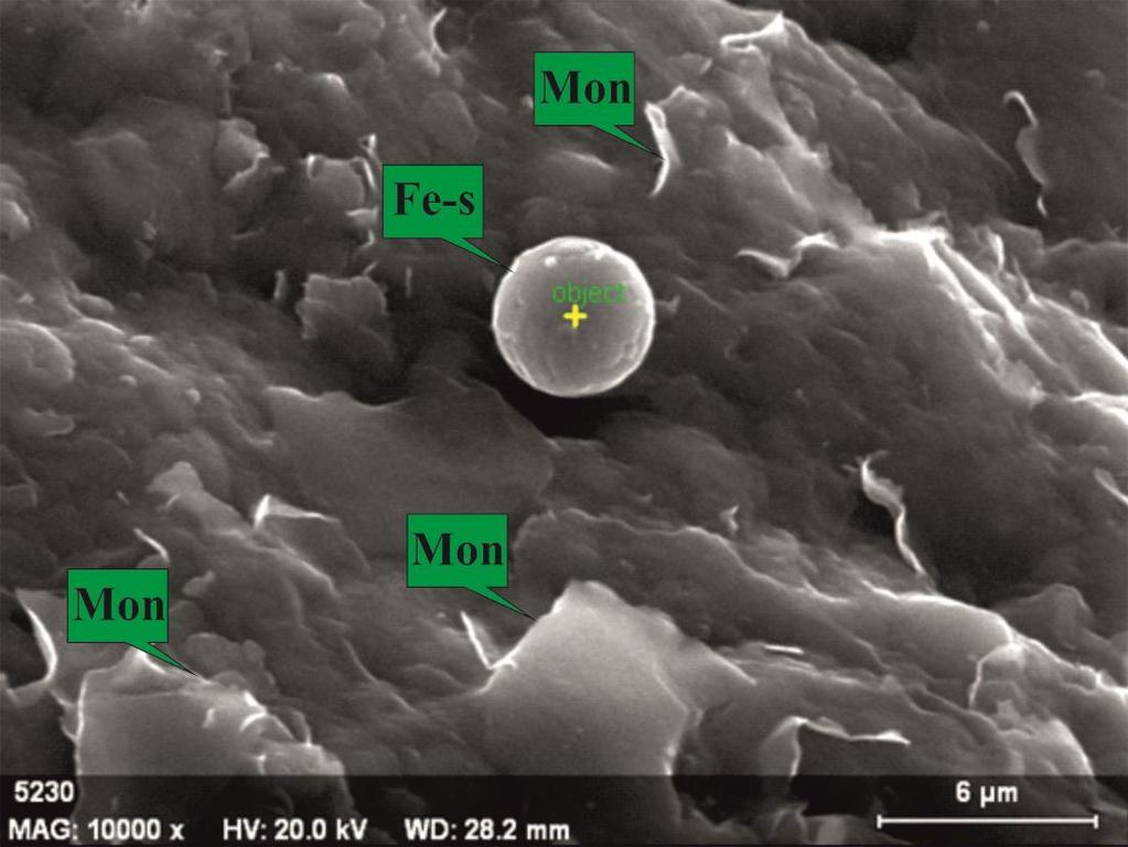 İB-1 örneğine ait SEM görüntüsünde montmorillonit oluşumları gözlenmektedir.