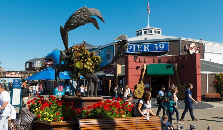 Ghirardelli Meydanı, Ferry Building (haftada iki defa yerel çiftçilerin ürettiği organik ürünlerin satıldığı pazar) Union Meydanı (Macy