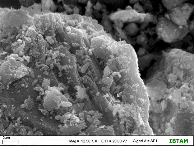 Tane Boyu (µm) (a) (b) Şekil 4.14. G18 (a) ve G20 (b) numunelerinin SEM görüntüleri Tane boyu dağılımındaki değişimlerin yer aldığı Şekil 4.15 ve Çizelge 4.