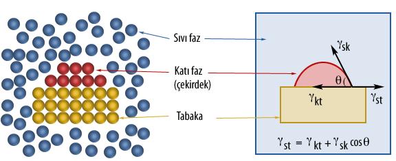 ÇEKİRDEKLENME TÜRLERİ 1- Çekirdekler ergiyik metalin kendi atomlarından oluşuyorsa (saf metal ise) bunlara öz çekirdek veya homojen çekirdek denilir ve burada homojen çekirdek oluşumu söz