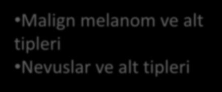 DSÖ DERİ TÜMÖRLERİ SINIFLAMASI (2006) Keratinositik tümörler Melanositik tümörler Deri eki tümörleri Hematolenfoid