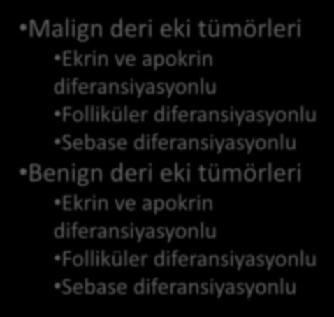 tümörleri Ekrin ve apokrin diferansiyasyonlu Folliküler diferansiyasyonlu Sebase diferansiyasyonlu