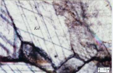 Şekil 3.30 Granoblastik dokulu, basınç ikizleri gözlenen mermer (I. Nikol) Cal: Kalsit 3.