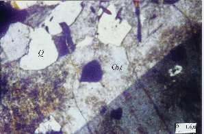 Şekil 3.32 Hipidiyomorf porfirik dokulu alkali feldispat granitin genel görünümü (II. Nikol) Ort: Ortoklas, Q: Kuvars 3.