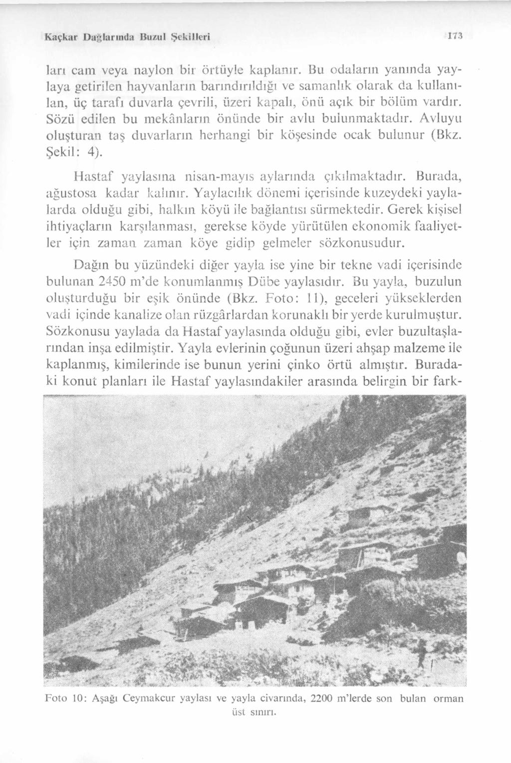 K açkar D ağlarında Bıı/.ııl Şekilleri 173 la n cam veya naylon bir örtüyle kaplanır.