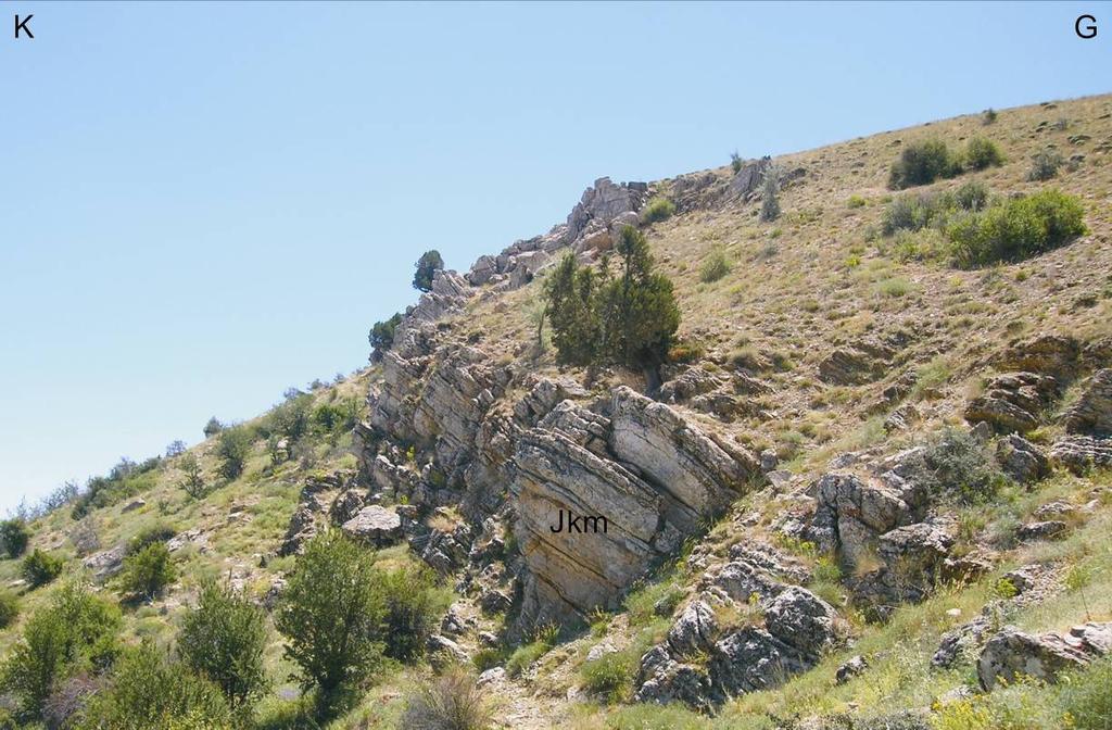 ekil 3.10: Mahmut Tepesi Kireçtaşı nın arazideki görünümü (İhsaniye köyü güneyi, doğuya bakış). Birim Dedemli Formasyonu nun volkanitleri ile geçişli kireçtaşı bantları ile başlar ( ekil 3.11).