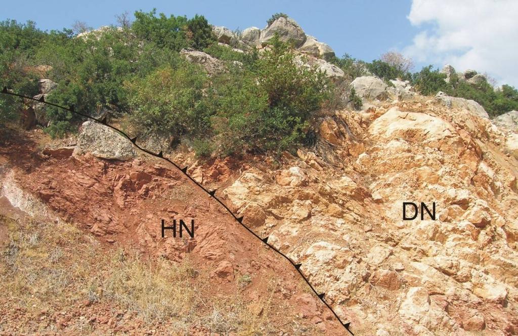 4.1.3.3. Domuzdağ Napı Domuzdağ napı çalışma alanı içinde Gündoğan köyü çevresinde, Özdemir köyü ve çevresinde, Yukarı ve Aşağı Akın köyü kuzeyinde ( ekil 4.