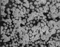 nano partiküllerin kullanımı Kalsiyum fosfat esaslı bioseramik nano partiküller protez malzeme yapımında kullanılıyor.