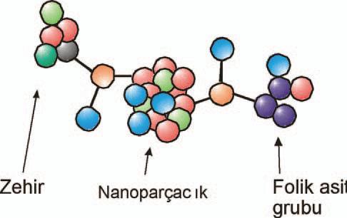 Nano kristaller Parçacık bir tarfına tümör hücrelerinin tükettiği folik