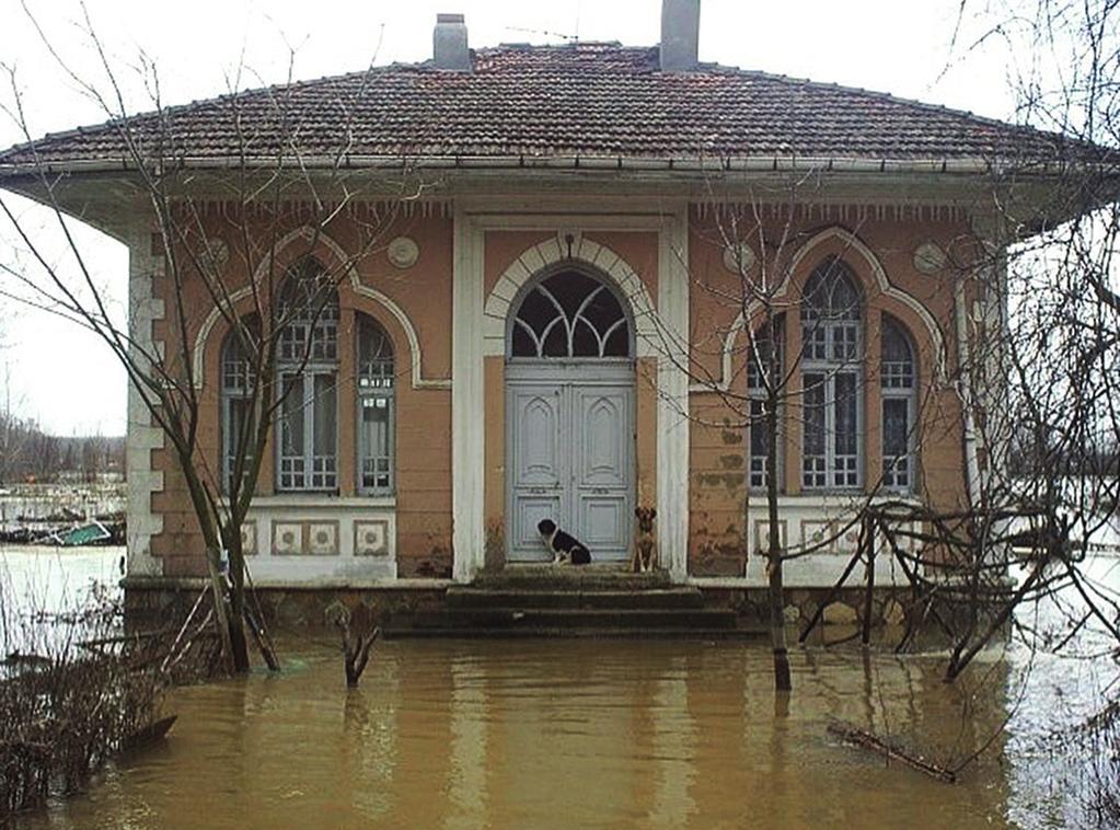 de, zarar verdiği doğaya muhtaç olduğunu anlamaya başlamış, doğayı, çevreyi ve hayvanları korumak için hukuki düzenlemeler yapmaya yönelmiştir.