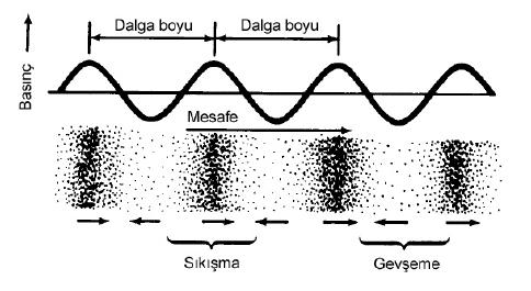 SES Ses, bir enerji kaynağından yayılan titreşimlerin etkisi sonucu gaz, sıvı ve katı ortamlarda moleküllerin sıkışıp gevşemesi ile ortaya
