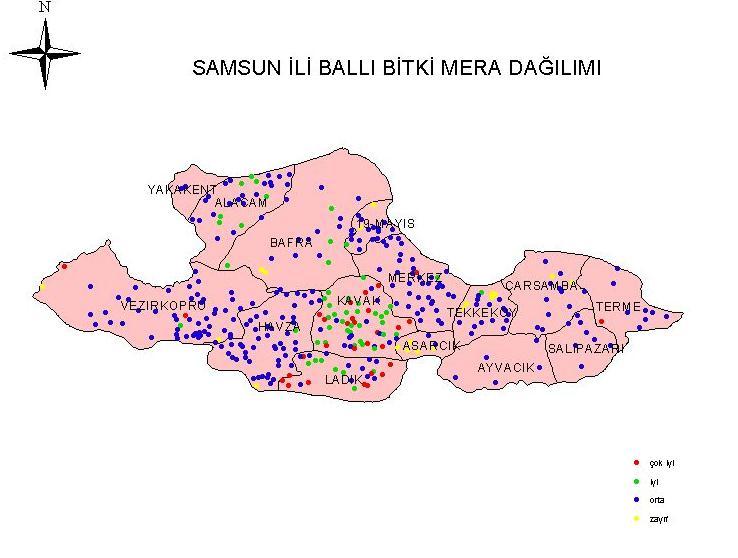 Samsun da