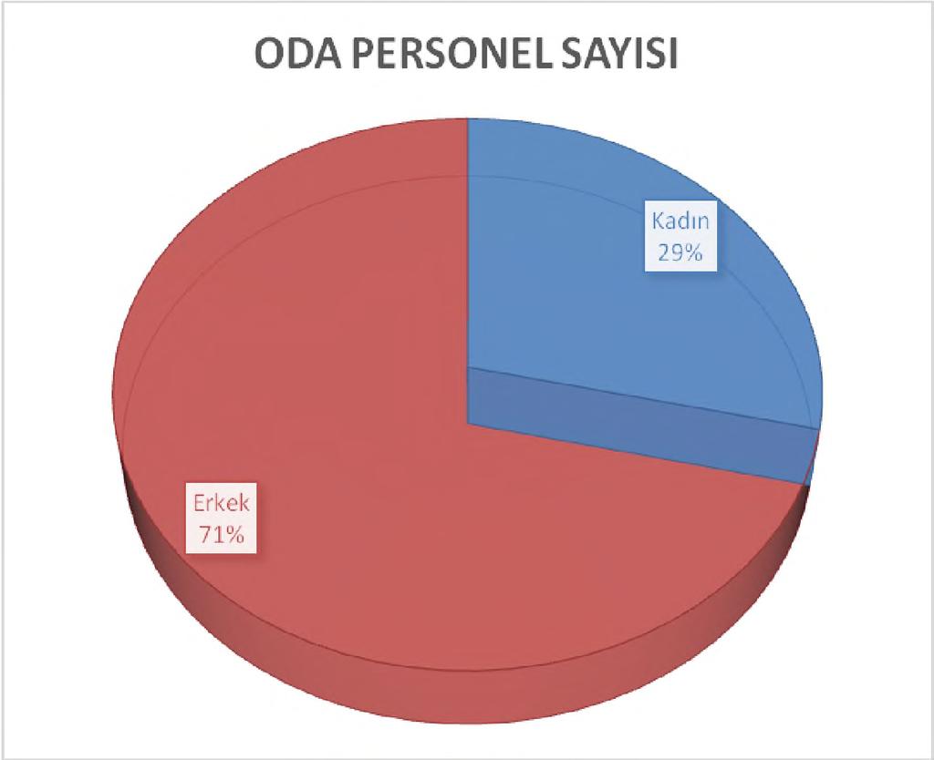 Çalışanların 3 ü Üniversite, 1 i önlisans mezunudur.