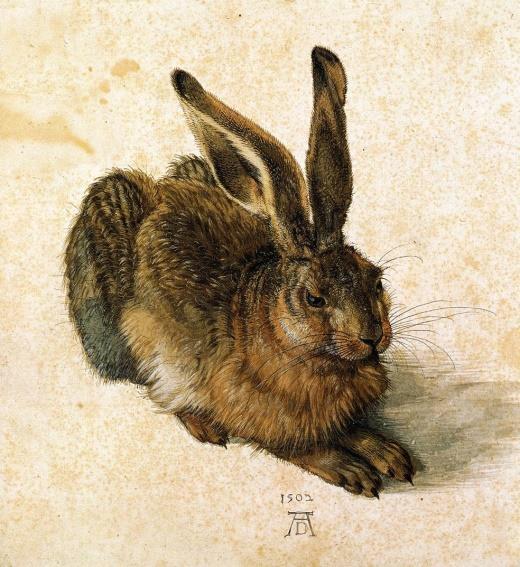 GÖRSEL SANATLAR Şubat ayında ressam Albrect Dürer in hayatını ve eserlerini inceleyeceğiz.