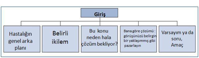 Giriş Genel alan ve bilinenler hakkında kısaca bilgi verin incelediğiniz makalelere ve önemli kaynakçalara atıf yapın varsa, önceki çalışmanıza atıf yapın Kalan