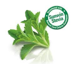 Stevia Stevia rebaudiana, chrysanthemum ailesinden, yabani, küçük bir çalı türüdür.