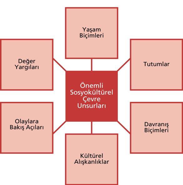 Örnek İşletmelerin Amaçları ve Çevresi Şekil 2.