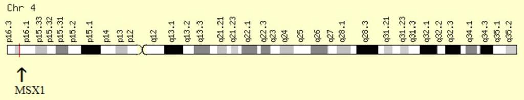 30 PCR ürünlerinin uygun reaksiyon şartlarında restriksiyon enzimi ile muamele edilmesi sonucunda farklı uzunluklarda DNA parçaları oluşur.