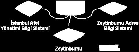 Veriler, edinildiği kurumun çalışma alanına göre farklı içeriğe ve formata sahip olabilmektedir.