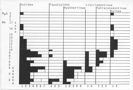 Şekil 1: Bütün Suoidea Üstailesinin, Tayassuidae ve Suidae Altailelerinin MN Zonlarındaki Yoğunlukları (Made, 1990a). 3.2.5.