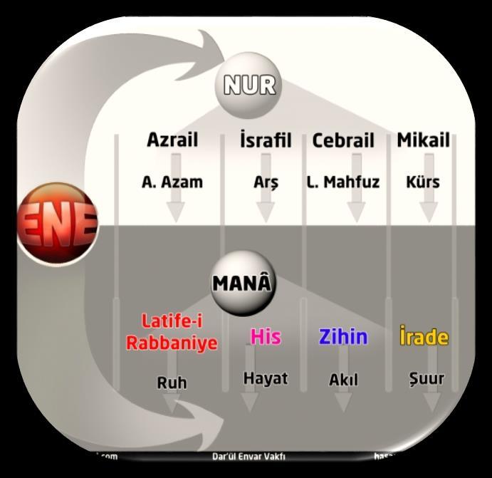 İNSANLIĞIN SERÜVENİ - 20 Vacib-ul vücud alemi. Enenin MANA tarafı buraya aynadır MEC UL Enenin NUR tarafı Enenin NUR ve MANA yönü var. Nur tarafı varlığın programı, çekirdeği.