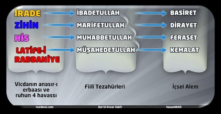 İNSANLIĞIN SERÜVENİ - 22 Zişuur Latife-i Rabbaniye demek? İradenin ibadetullah ile aktif olur (ibadetullah eylemdir, İçsel alemde ise basiretini geliştiriyor).