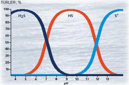 8 üzerindeki gaz fazı H 2 S kısmi basıncının değeridir. Dolayısı ile havasız reaktörlerdeki H 2 S transferi, Gaz: H 2 S Sıvı: H 2 S HS - + H + (2.3) şeklinde gösterilebilir.