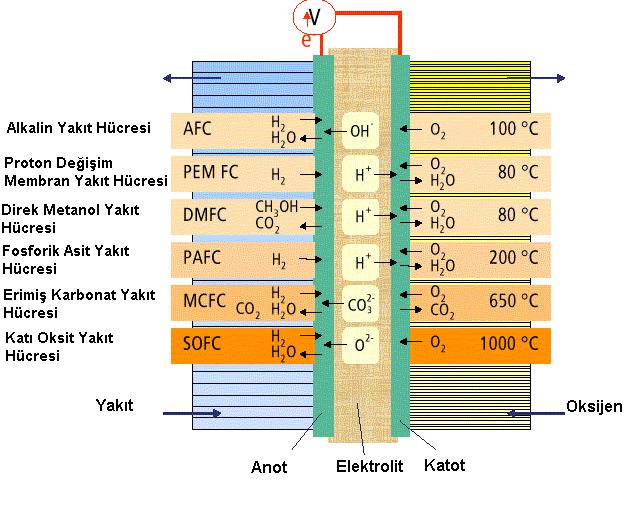 13 Şekil 2.4. Yakıt pilinin basitleştirilmiş şeması ve yakıt pili çeşitleri [5].