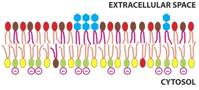 Kısaca, bir maddenin elektrik akısı (electric flux) dır bağıl magnetik permeabilitenin elektriksel ifadesidir.