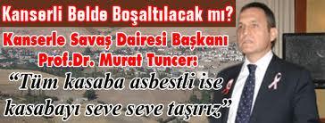 Büyüktatlar beldesinde yapılan çalışmaları anlatan Yener, "Büyüktatlar beldesinde bulunan toprak 2005 yılında MTA tarafından incelenmiş olup asbestli